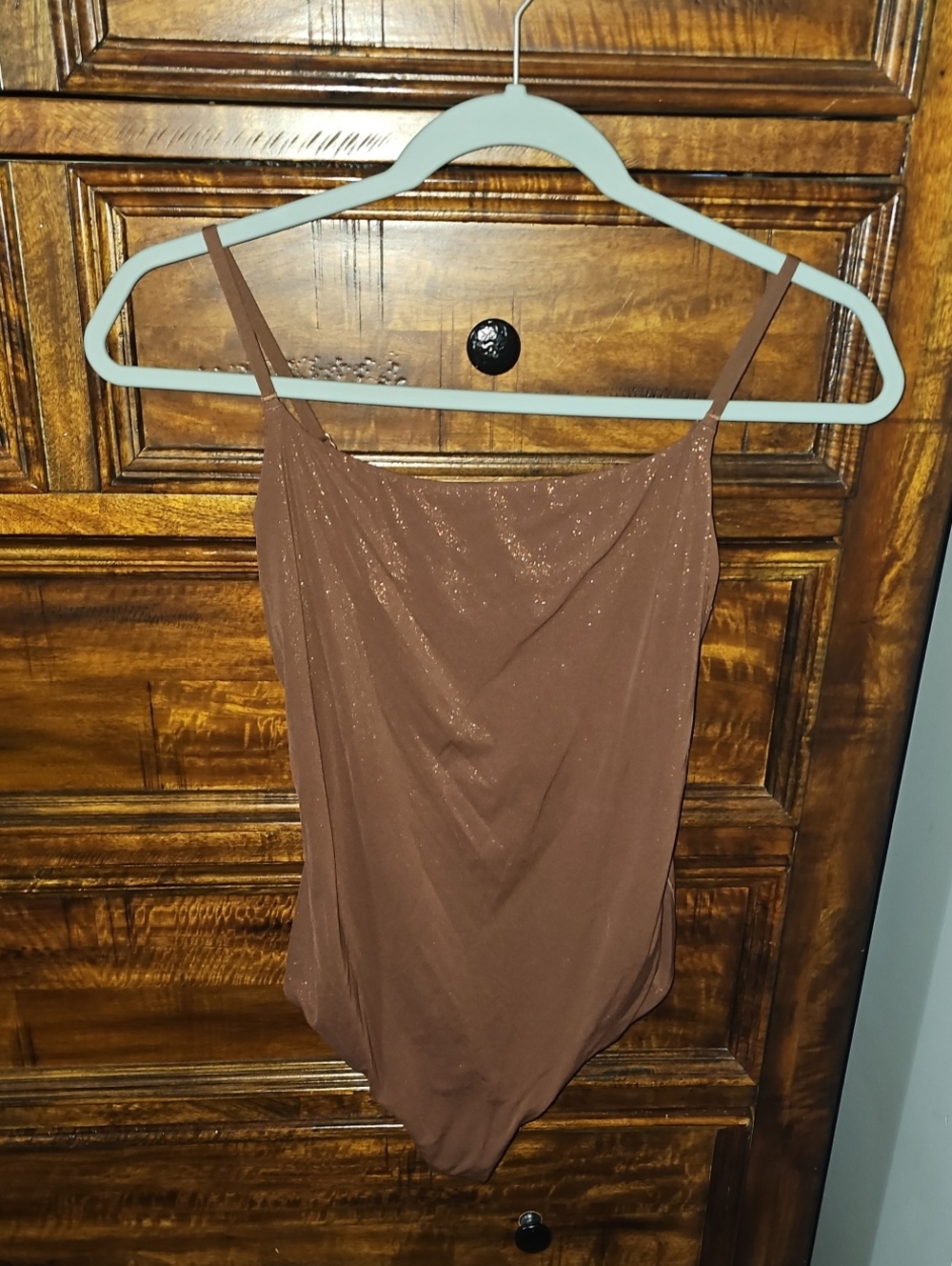 SMOOTHEZ By AERIE Dark Brown And Gold Shimmer Thong Bodysuit!!  Sz Large!! Nwts